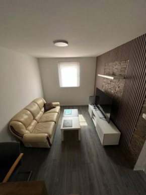 Modular House New Belgrade